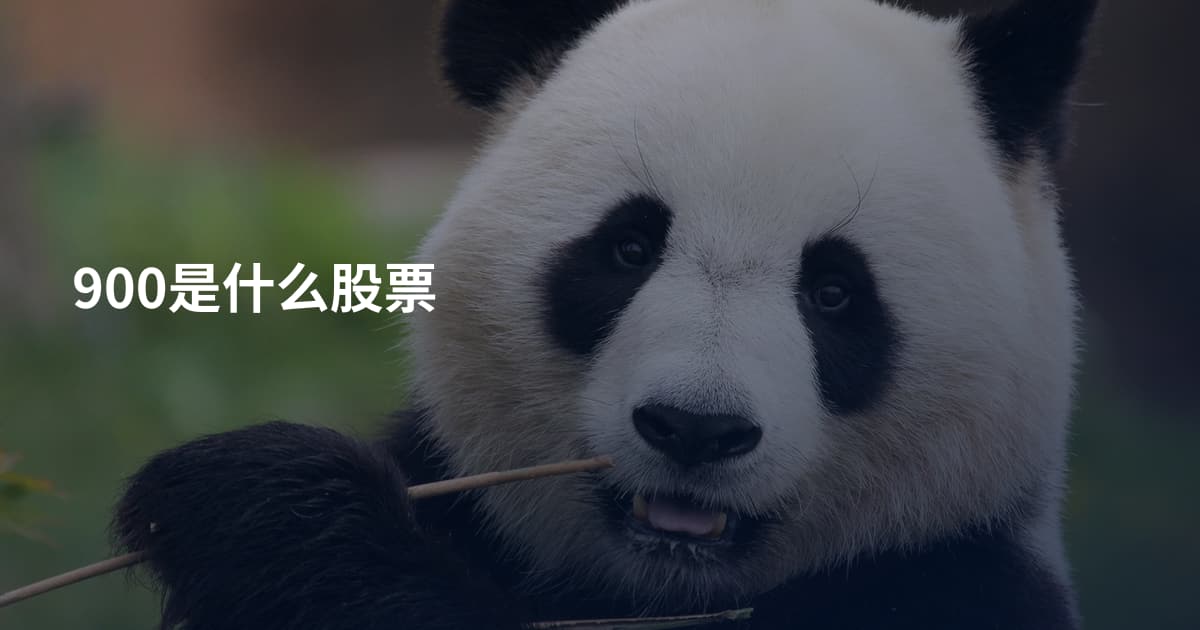 900是什么股票