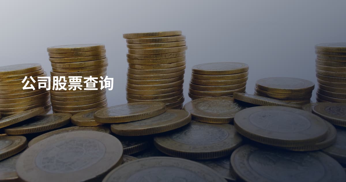 公司股票查询