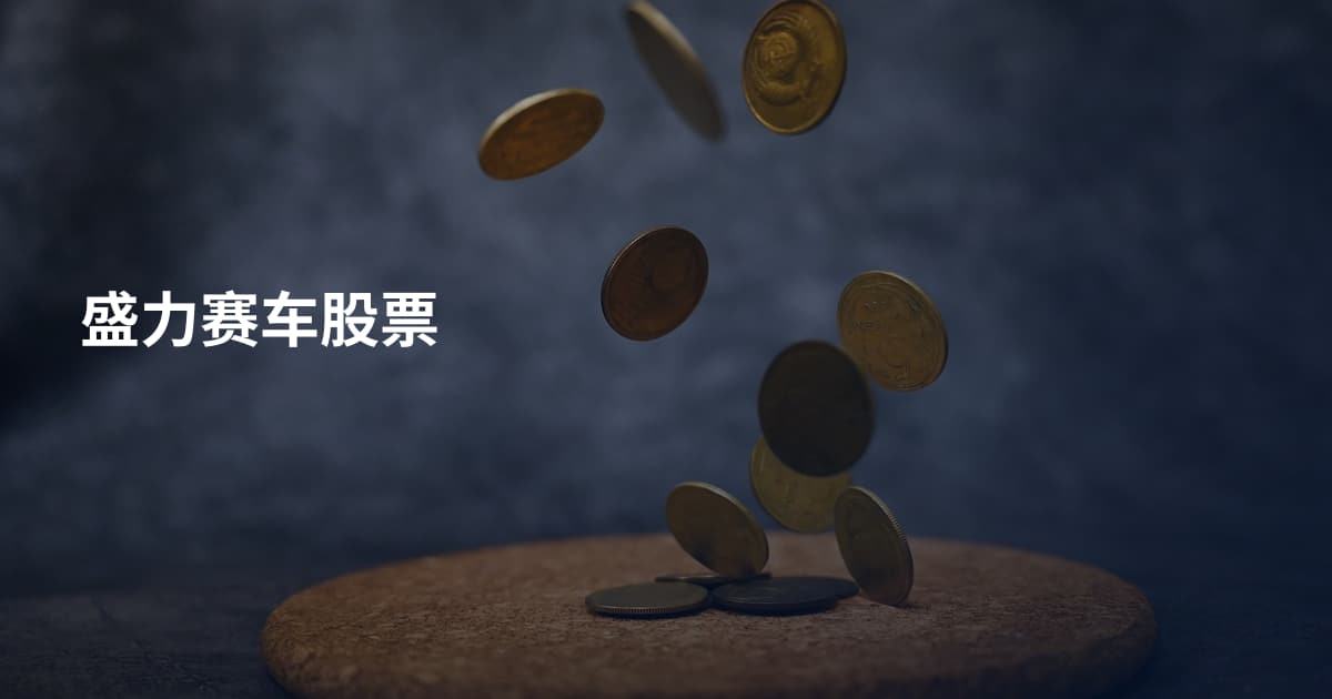 盛力赛车股票