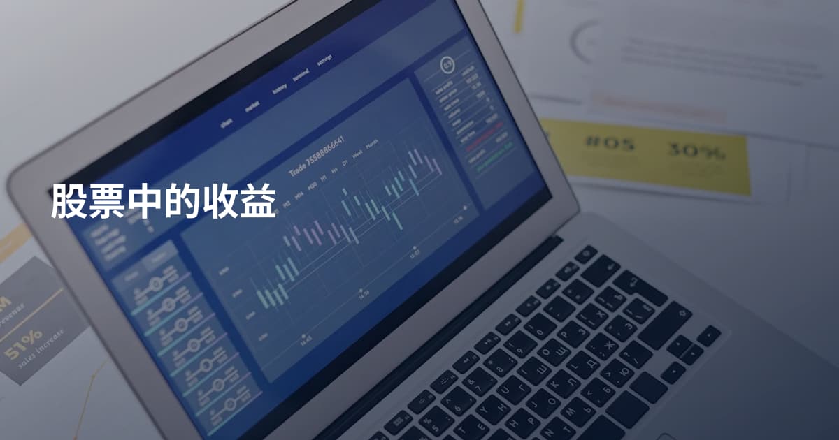 股票中的收益
