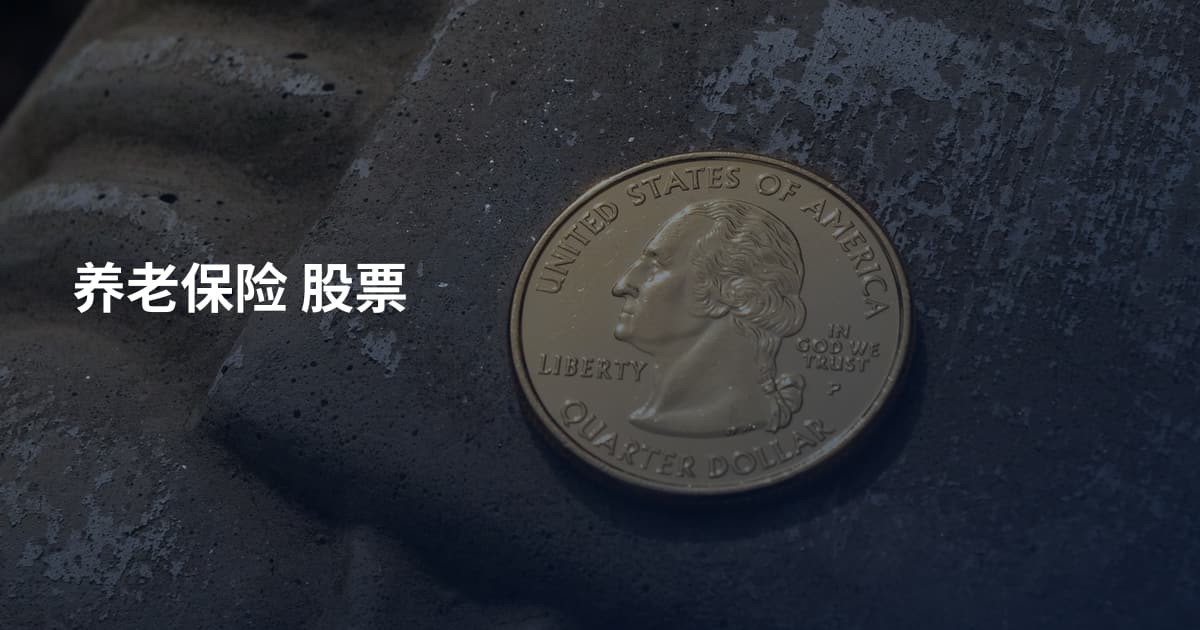 养老保险 股票