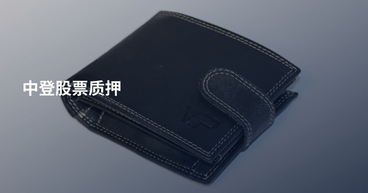 中登股票质押