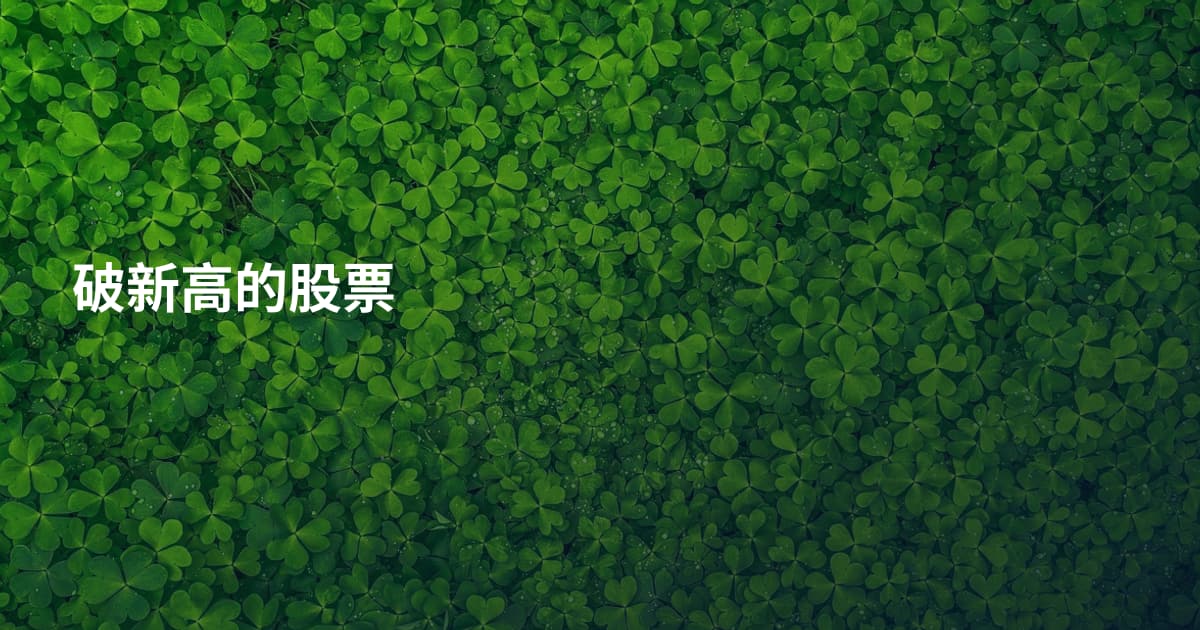 破新高的股票