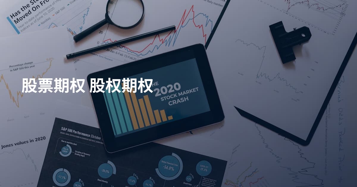 股票期权 股权期权