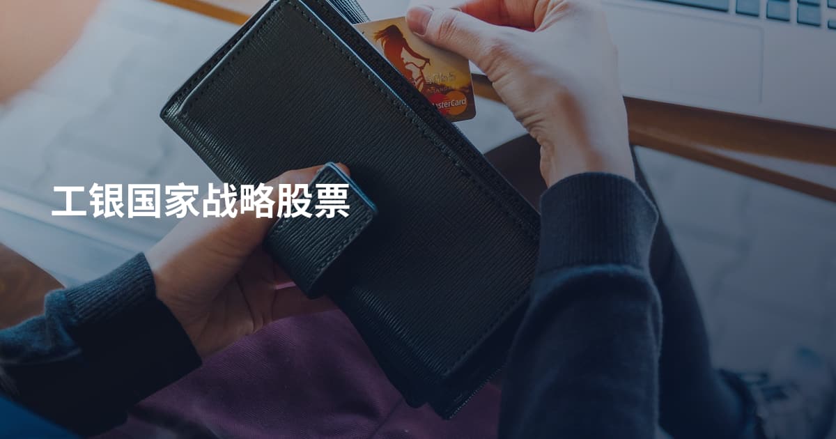 工银国家战略股票