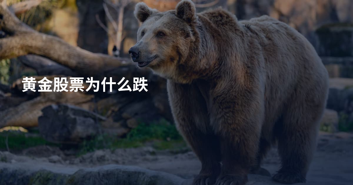 黄金股票为什么跌