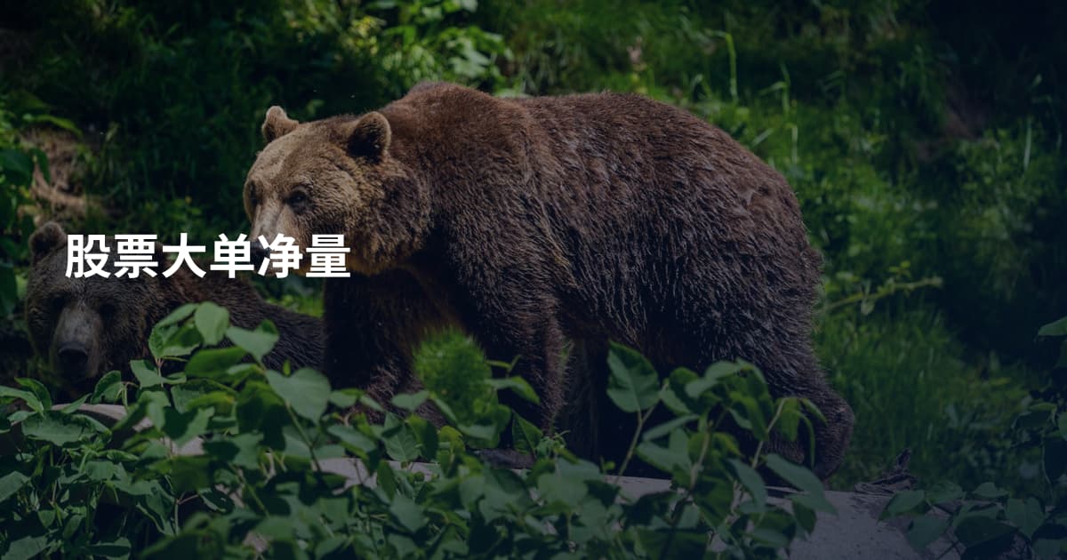 股票大单净量