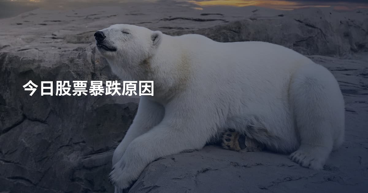 今日股票暴跌原因