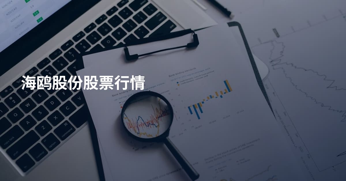 海鸥股份股票行情