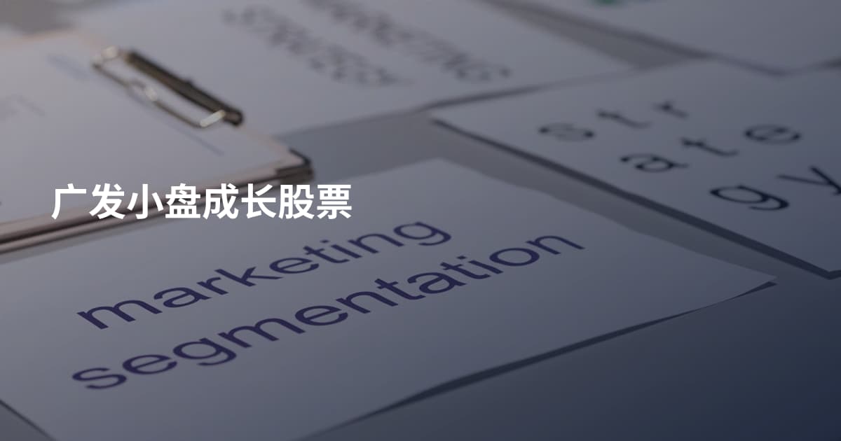广发小盘成长股票
