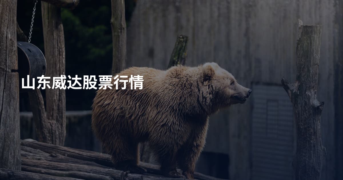 山东威达股票行情