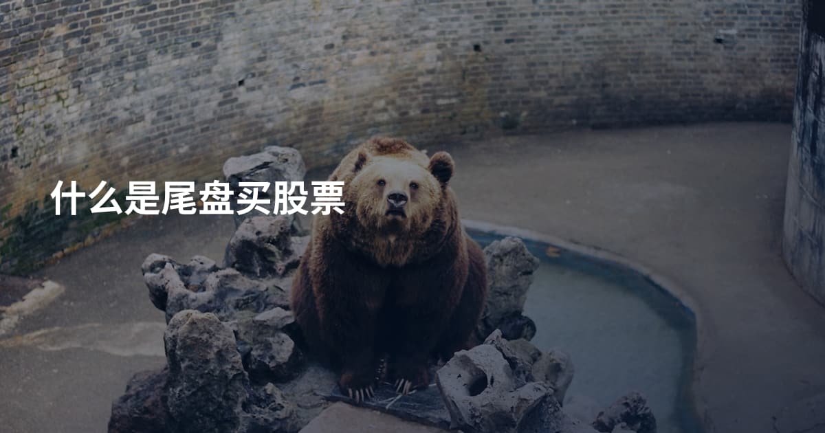什么是尾盘买股票