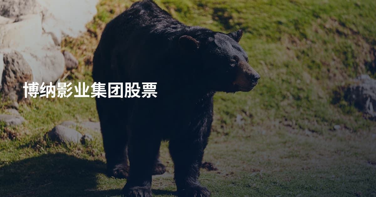 博纳影业集团股票