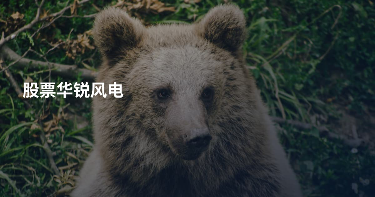 股票华锐风电