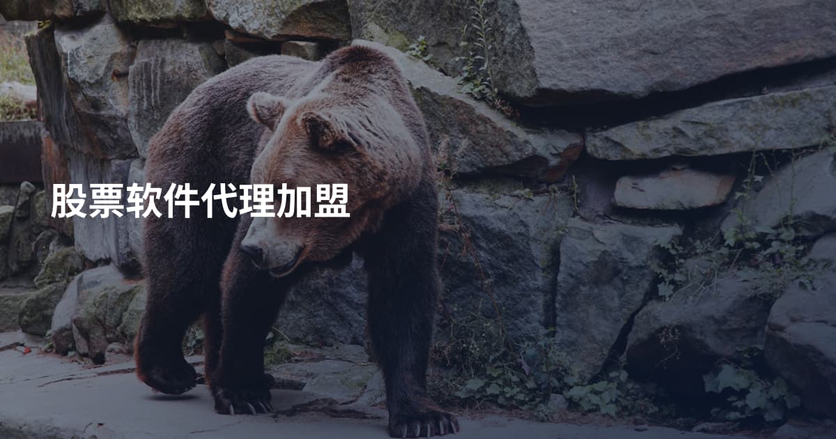 股票软件代理加盟