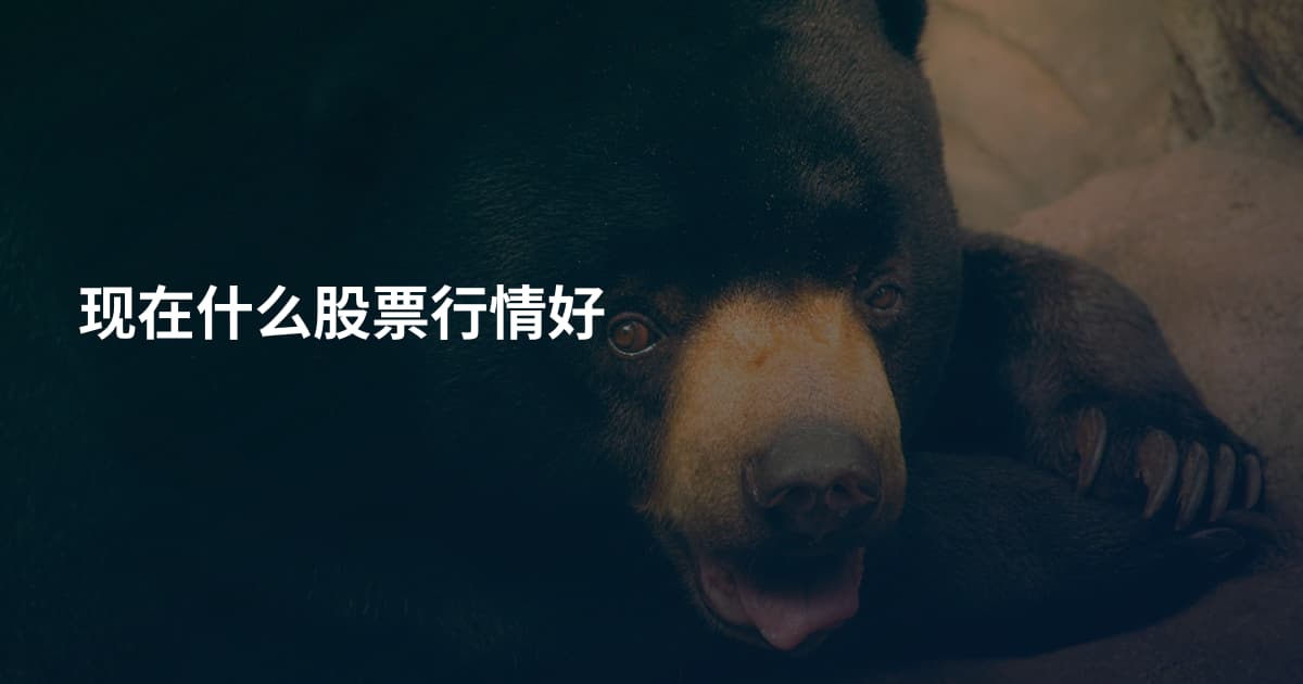 现在什么股票行情好