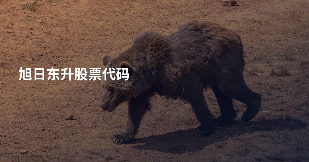 旭日东升股票代码