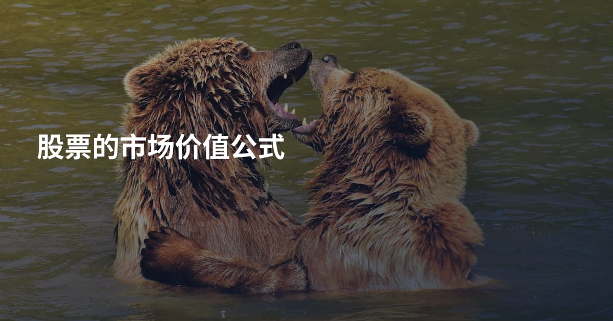 股票的市场价值公式