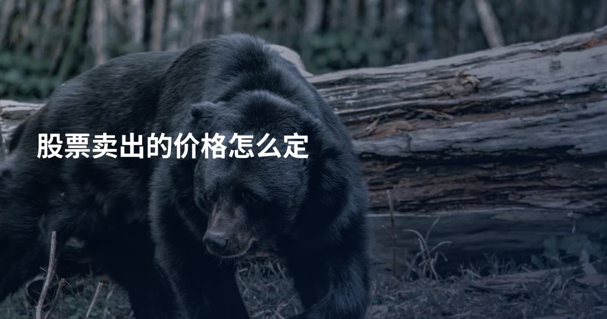 股票卖出的价格怎么定