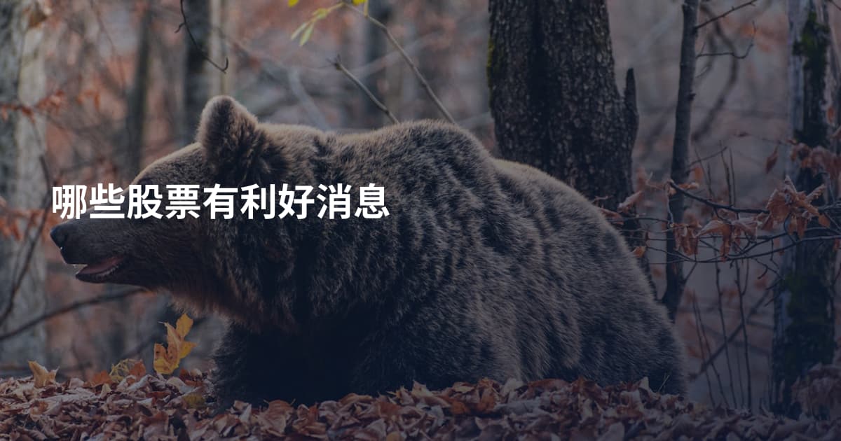 哪些股票有利好消息