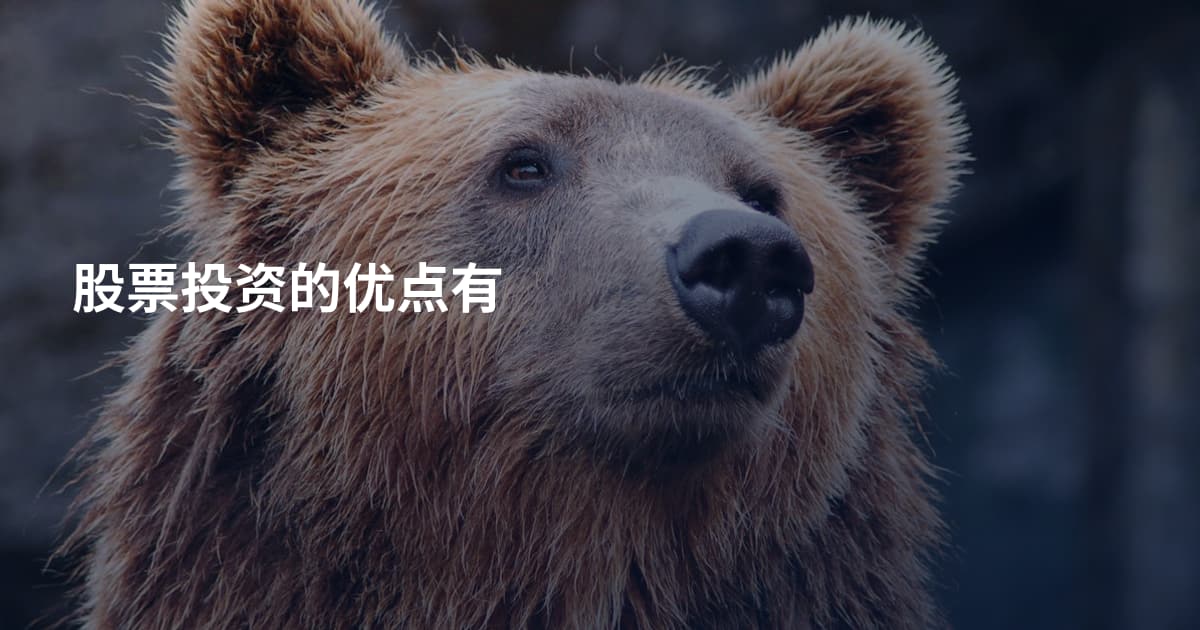 股票投资的优点有