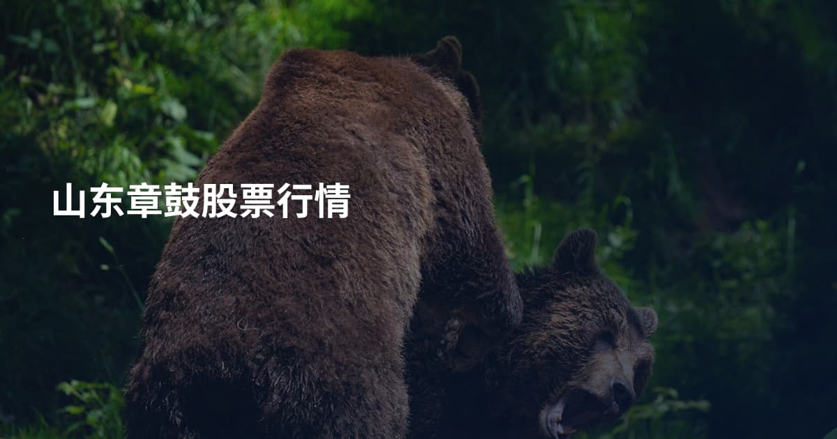 山东章鼓股票行情