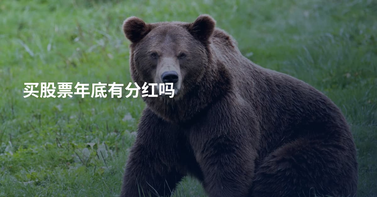 买股票年底有分红吗