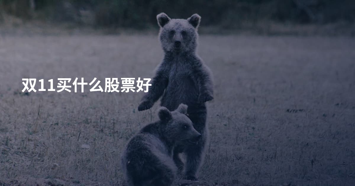 双11买什么股票好