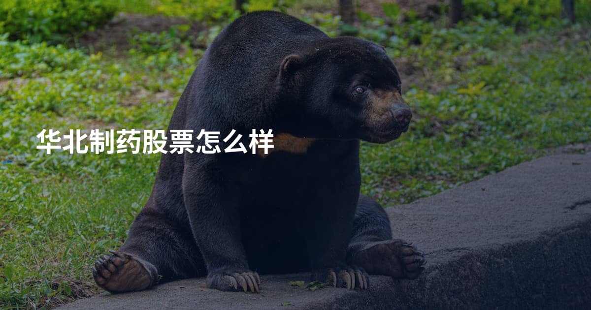 华北制药股票怎么样