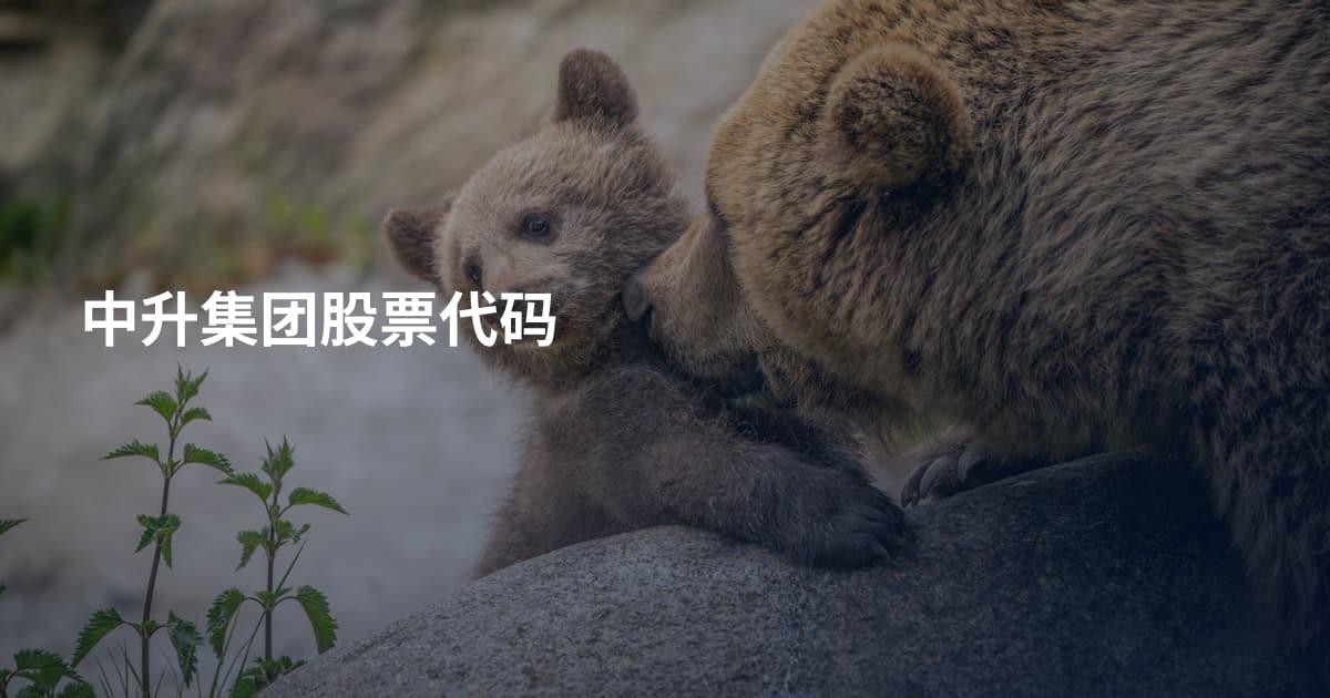 中升集团股票代码