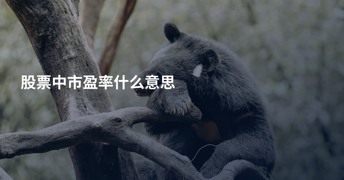 股票中市盈率什么意思