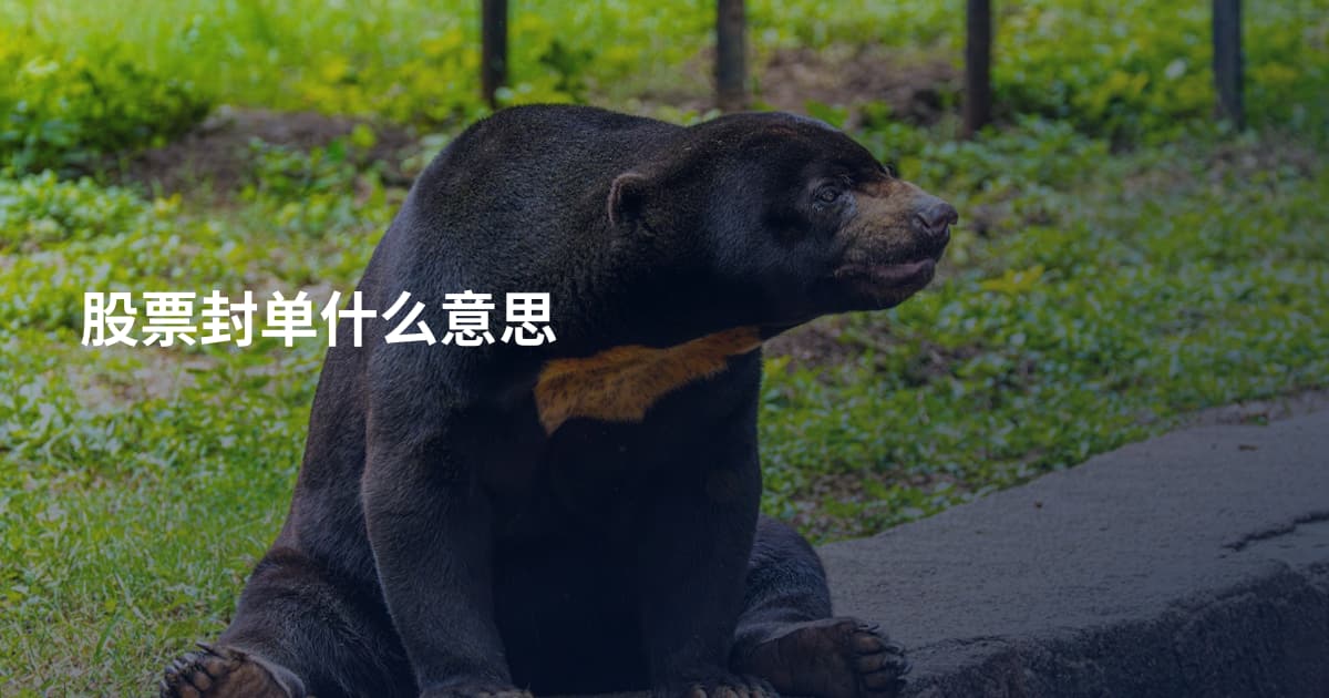 股票封单什么意思