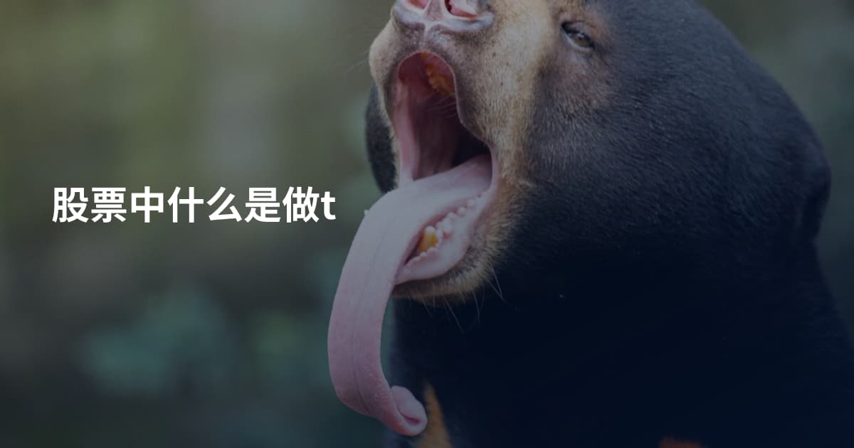 股票中什么是做t