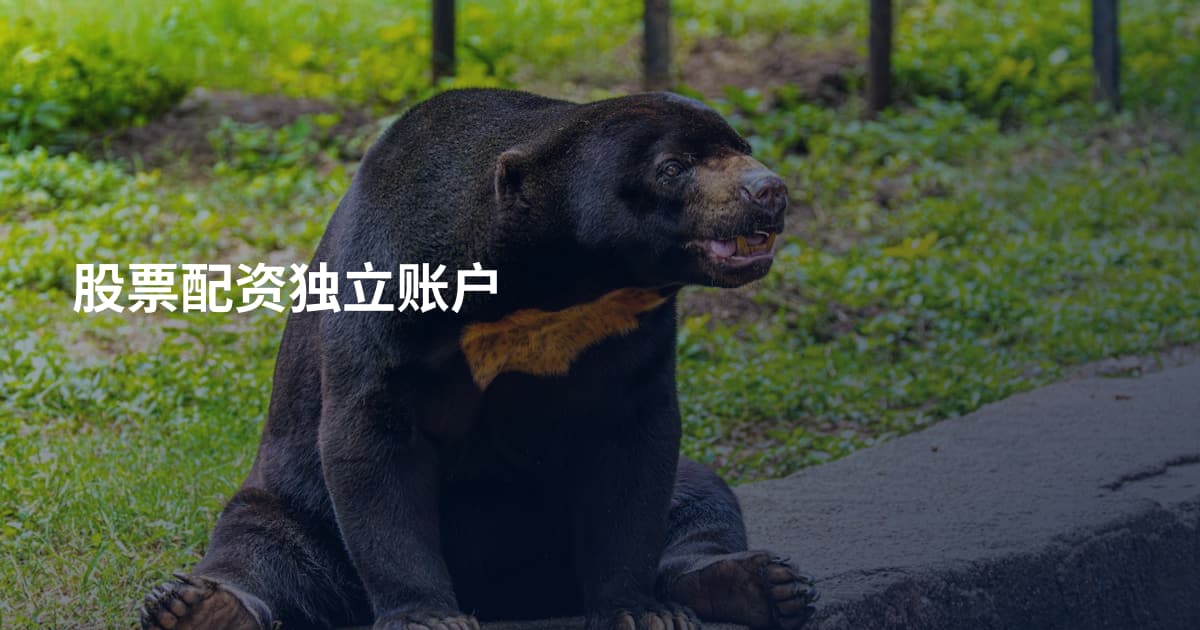 股票配资独立账户