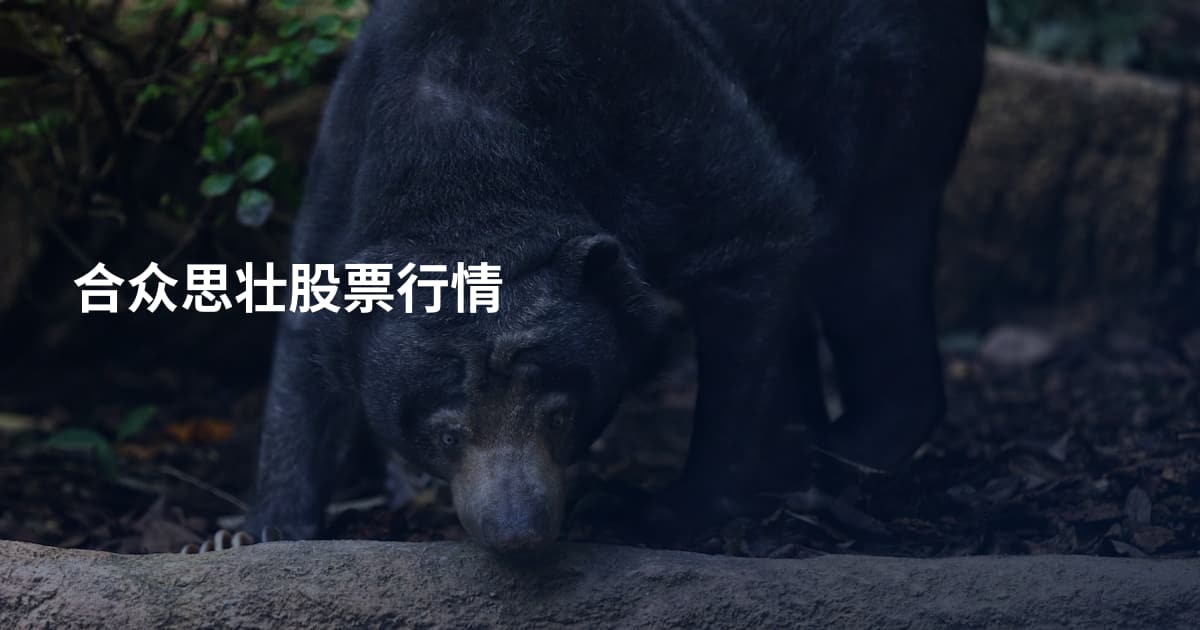 合众思壮股票行情