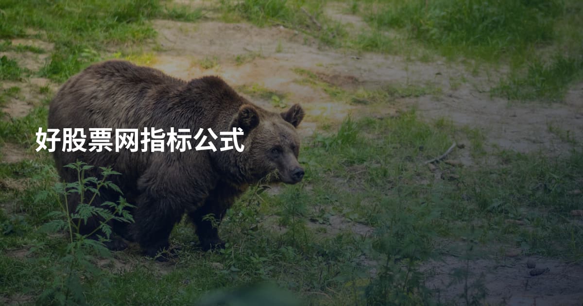 好股票网指标公式