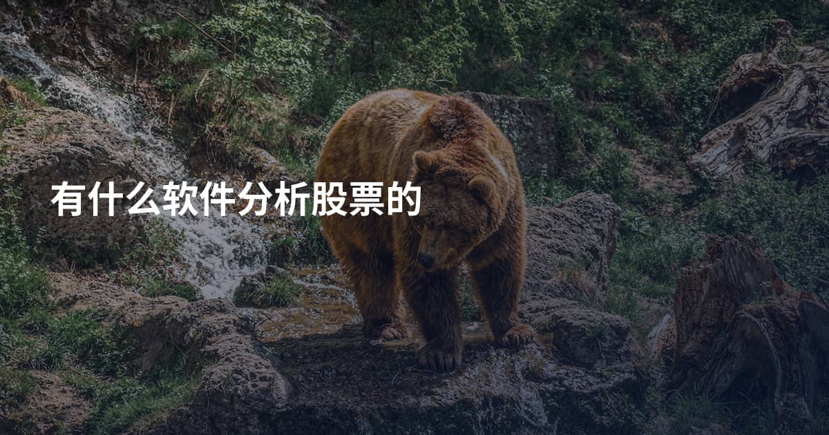 有什么软件分析股票的