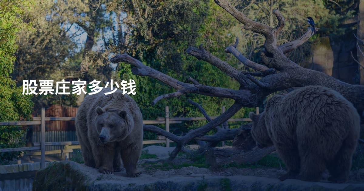 股票庄家多少钱