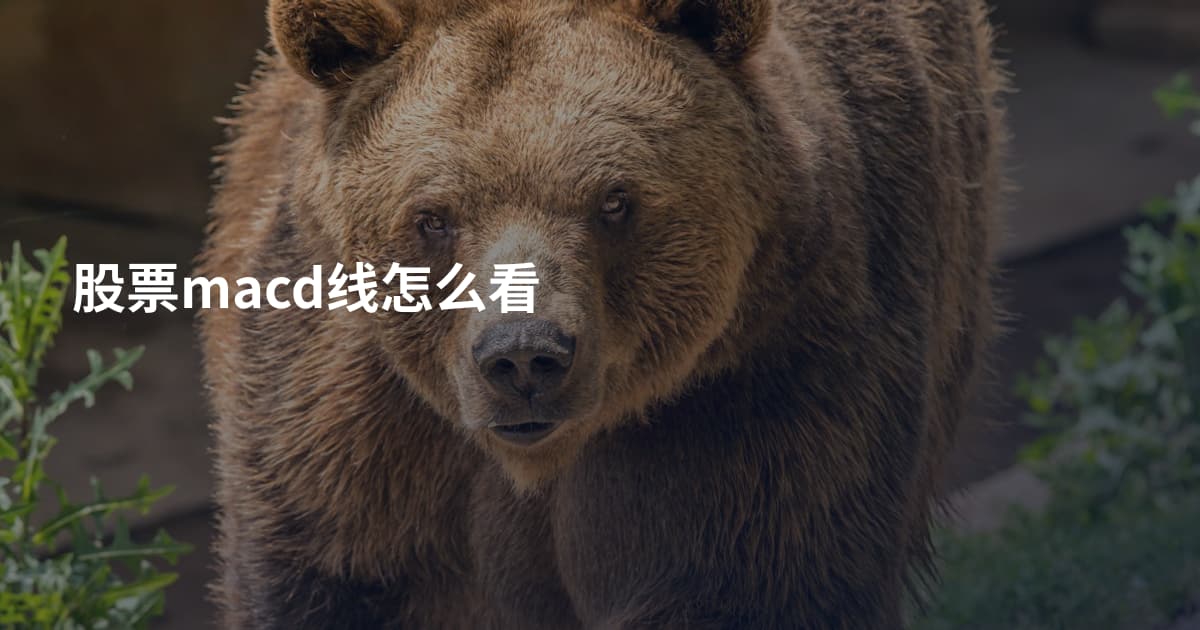 股票macd线怎么看