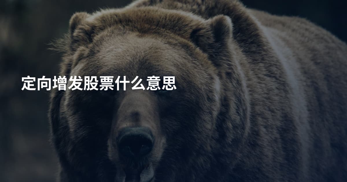 定向增发股票什么意思