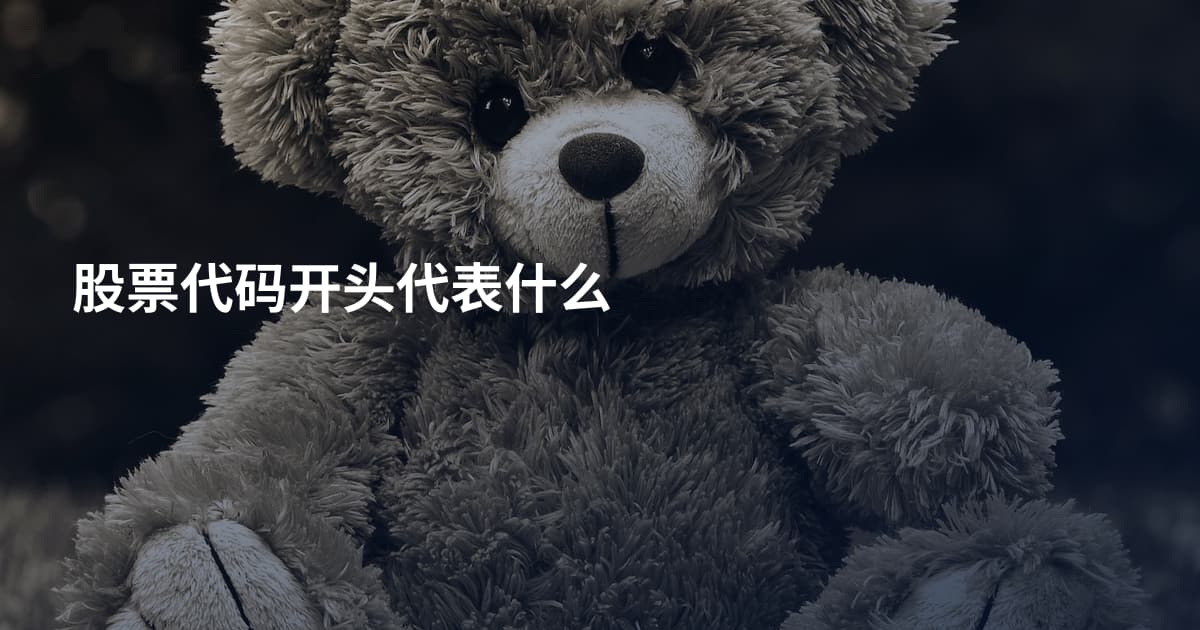 股票代码开头代表什么
