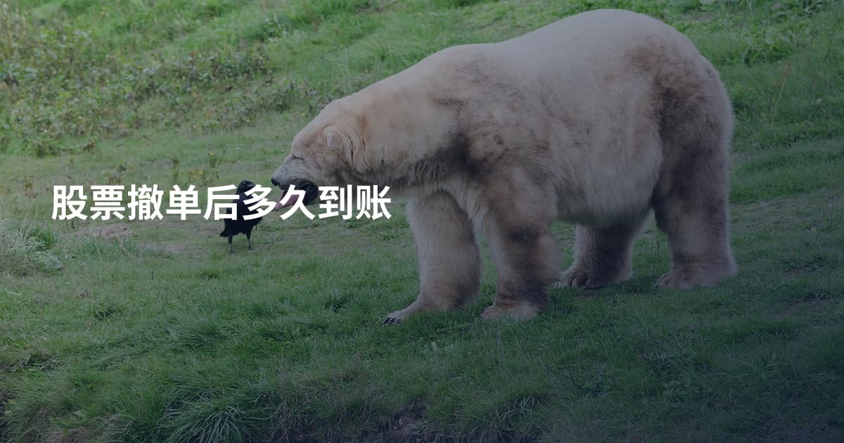 股票撤单后多久到账