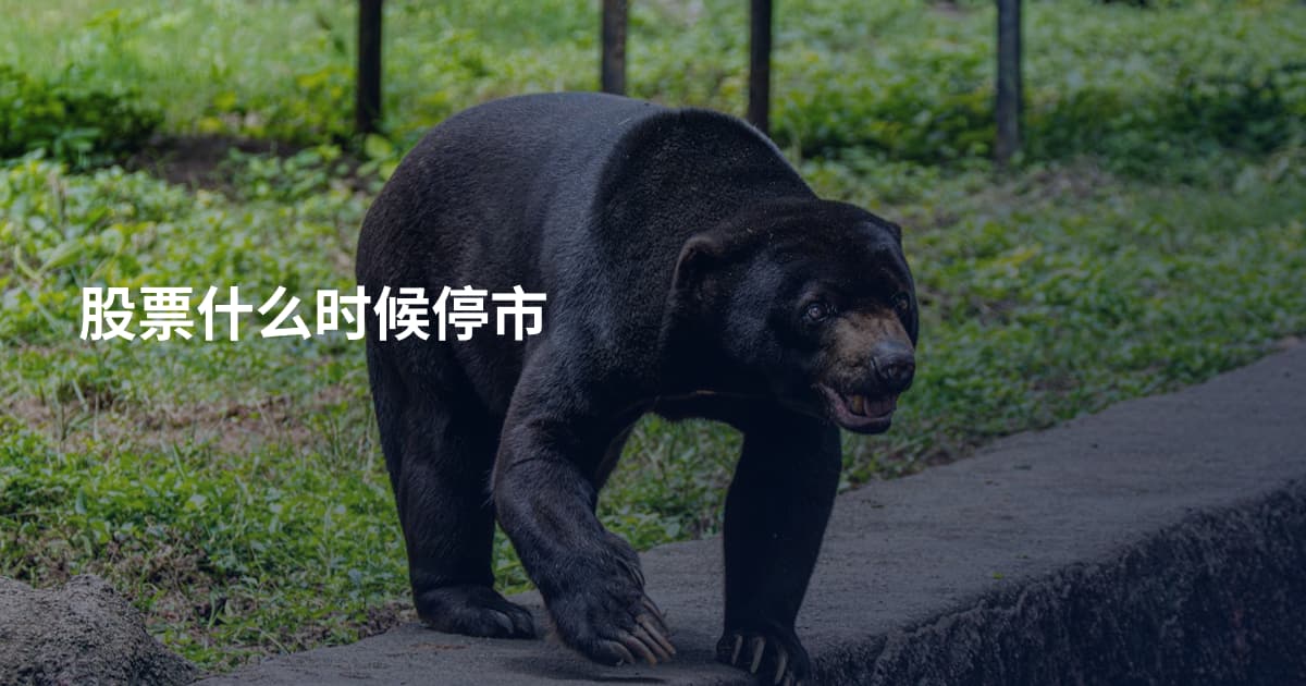 股票什么时候停市