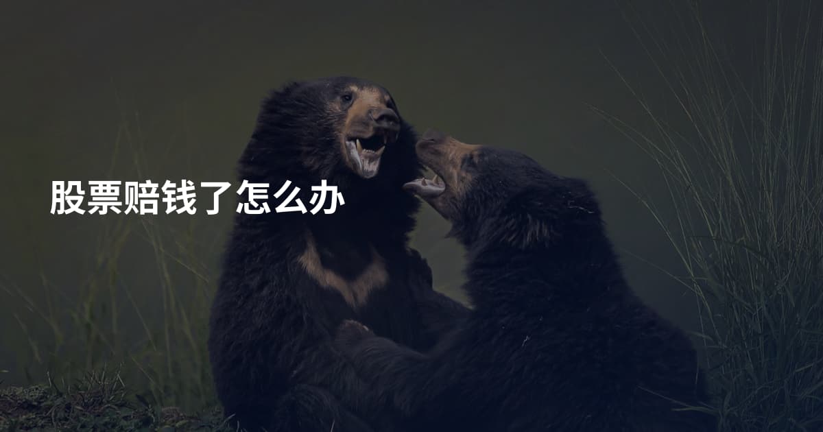 股票赔钱了怎么办