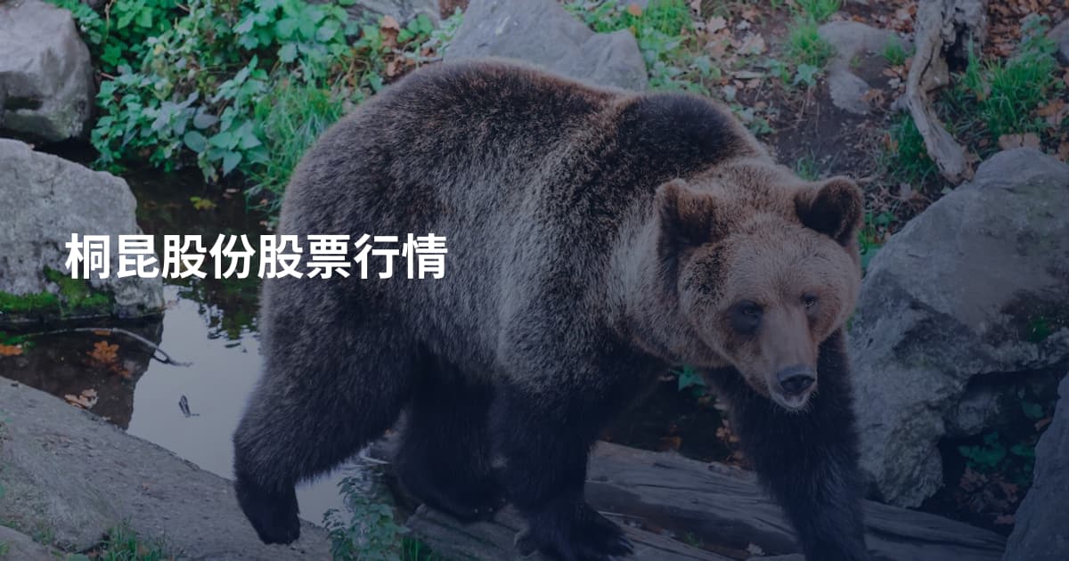 桐昆股份股票行情