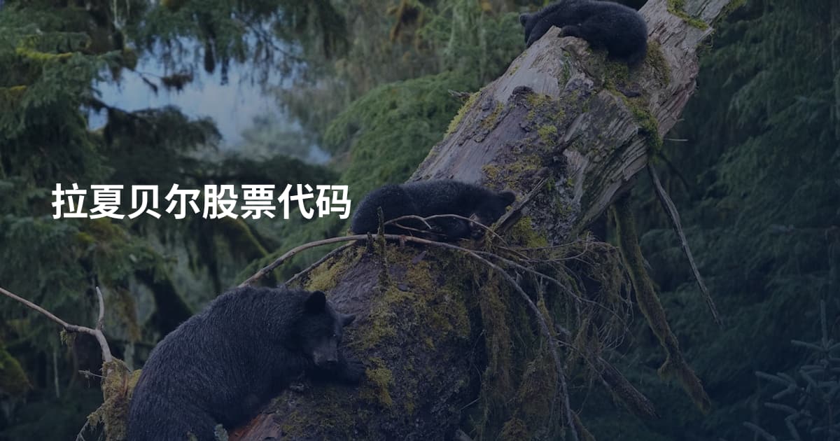 拉夏贝尔股票代码