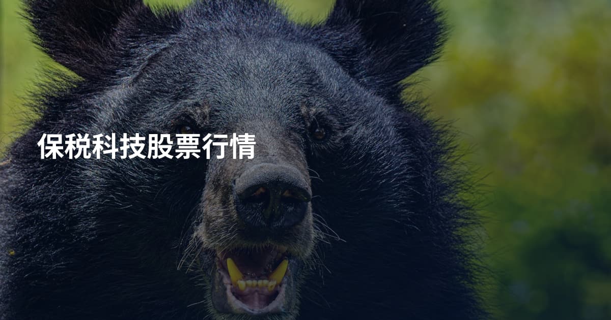 保税科技股票行情
