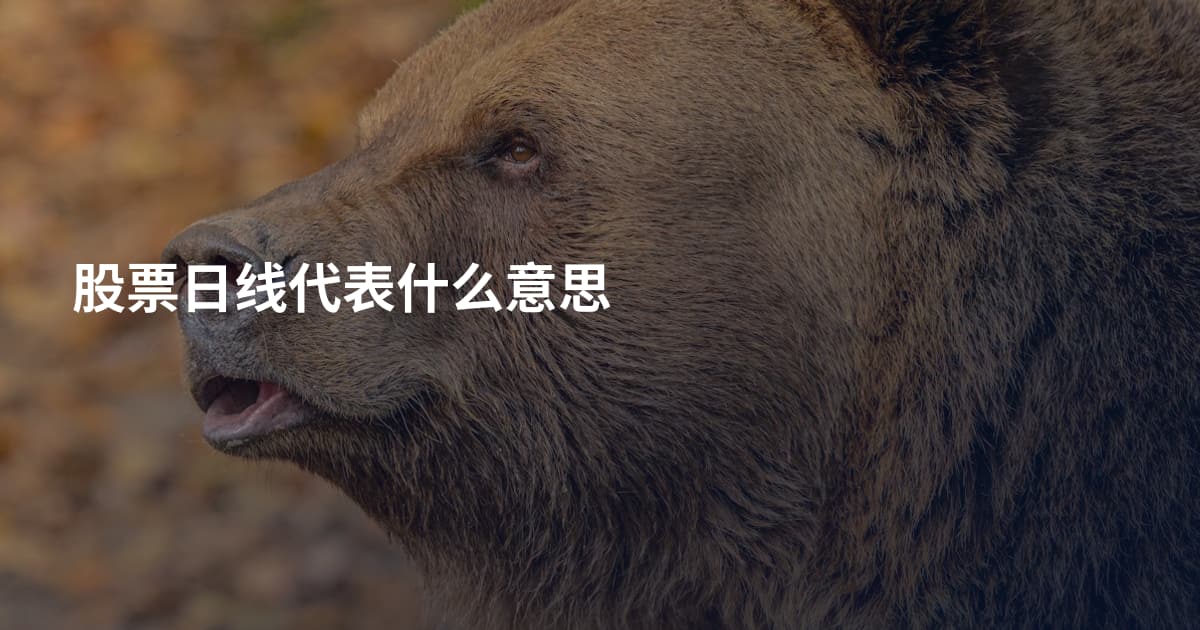 股票日线代表什么意思