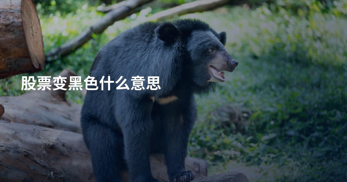 股票变黑色什么意思