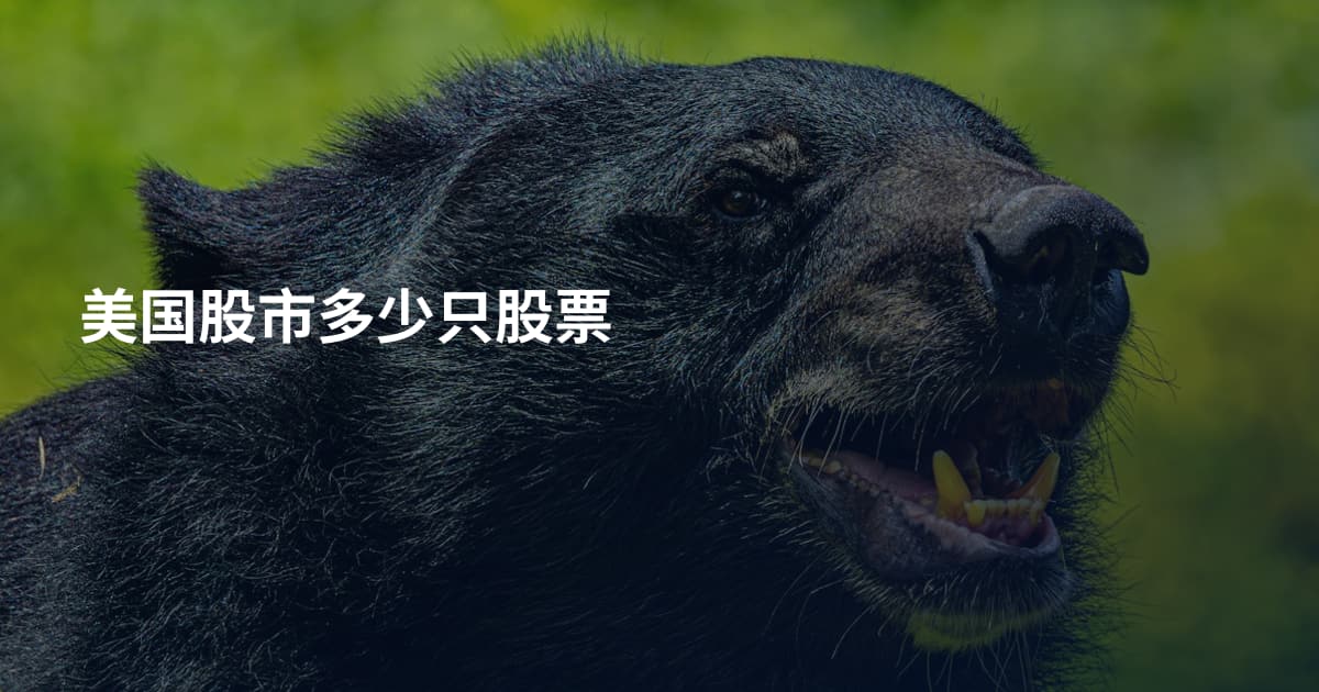 美国股市多少只股票